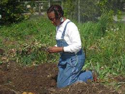 There is no time for weeding, trimming, or making careful assessments as to the i know i will feel better once i am outside and begin cleaning up and preparing the garden for winter. Preparing For Spring Vegetable Gardening Diy Heirloom Gardener