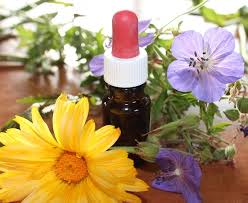 Australian bush flower essences use flowers that are relatively unpolluted and unique in density of how can essences help our children with their challenges? How To Make Your Own Flower Essences Holistic Wellbeing