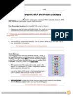 Cell Divisions Se Mitosis Chromosome