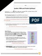 Comments and help with building dna gizmo worksheet answers. Student Exploration Building Dna Nucleotides Dna