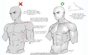 Chromosomal abnormalities can occur during fertilization impacting the development of the male reproductive system. Excellent Drawing Of Physique Male Of Tutorials Anatomy Reference 70 Concepts Guy Drawing Anatomy Reference Art Reference Poses