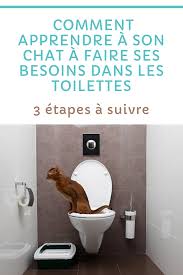 Comment Apprendre A Son Chat A Faire Ses Besoins Dans Les Toilettes Astuces Pour Chat Comportement Chat Chat