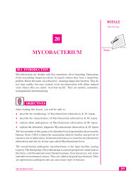 Pdf Identification Of Mycobacterium