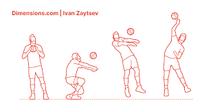 Ivan zaytsev (20) is a tennis player from russia. Ivan Zaytsev Dimensions Drawings Dimensions Com