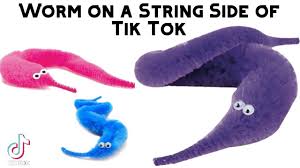 Worm on a string meme. Worm On A String Side Of Tik Tok Youtube