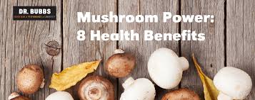 11.10.2021 · mushrooms health benefits includes preventing anemia, a good source of vitamins, supporting healthy bones, promotes healthy immune system, supports skin and hair health, support weight loss, manage blood pressure, manage diabetes, support healthy hair, helps prevent breast cancer, and helps in cholesterol management. Mushroom Power 8 Health Benefits Dr Marc Bubbs