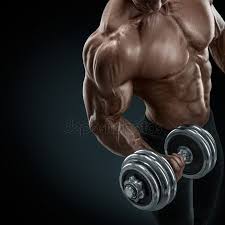 Of Bodybuilding Stock Pics Royalty Free Bodybuilding