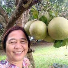 Rice-Mongo Crunchies are nutritious deep-fried snack made from a blend of  rice flour and mongo flour. The product is crisp and has an appealing  cereal taste further enhanced by the addition of