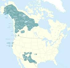 Athabaskan languages - Wikipedia