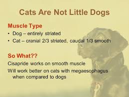 The goal of treatment is to take care. Practical Internal Medicine Ppt Video Online Download