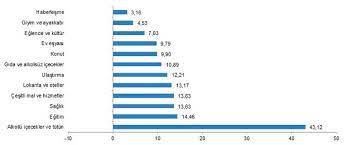 Yıllara göre enflasyon oranları (%). Son Dakika Tuik 2019 Yili Enflasyon Oranini Acikladi Haberler