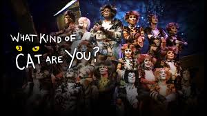 M.o.v.i.e watch cats full online vo movie cats moviecats tra. Cats What Kind Of Cat Are You A Quiz To Cast You In Cats Great Performances Pbs Cats Musical Cat Movie Kinds Of Cats