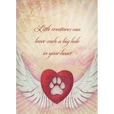 Express your condolences with one of our many pet loss sympathy cards. Tree Free Greetings Little Creatures Pet Sympathy Card Walmart Com Walmart Com