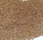 Flax Seed Color Sorter Seeds Sorting Machine Kernels Color Separator