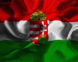 This triband features three different colors. Hungarian Flag By Haadesm On Deviantart Hungarian Flag Hungarian Hungary