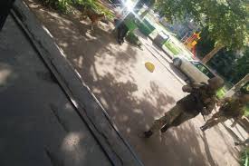 Читайте последние новости на тему в ленте новостей на сайте риа новости. Obvorovyvanie Umershih V Harkove Sud Vzyal Pod Strazhu Chernyh Rieltorov Novosti Harkov Harkov Na Depo Ua
