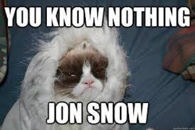 Grumpy Cat Edition You Know Nothing Jon Snow Know Your Meme