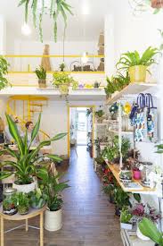Dilerseniz kendi milano yazılarınızı sitemizde yayınlayabilirsiniz. Wild Milano Plant Shop In Milan