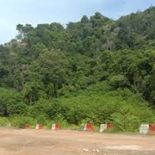 Ad Categories Kedah