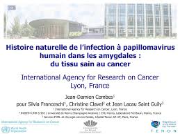 Récemment, l'infection par les papillomavirus humains, et plus particulièrement de type 16, a été mise en évidence comme facteur de risque favorisant le développement des la stabilité de ces virus offre de nombreux modes de transmissions potentiels, bien que la voie sexuelle en soit le principal. Histoire Naturelle De L Infection A Papillomavirus Humain Dans Les Amygdales Du Tissu Sain Au Cancer Jean Damien Combes1 Pour Silvia Franceschi1 Christine Ppt Video Online Telecharger