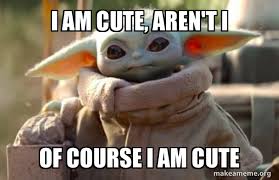 I Am Cute Aren T I Of Course I Am Cute Baby Yoda Looking At You Make A Meme