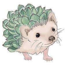 Art Hedgehog Succulents Drawing Animals Sketch Procreate Adobe Cutie Hedgehog Drawing Cute Animal Drawings Hedgehog Art