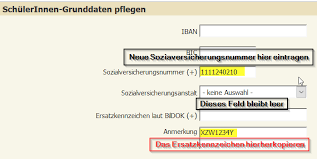 Wie bekomme ich meinen sozialversicherungsausweis? Ersatzkennzeichen Fur Bildok Anfordern