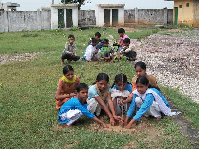 School Micro-Forest Programme