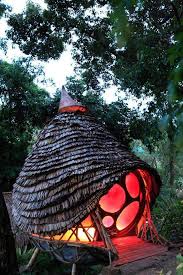 Pin On Tree Houses Living Bridges
