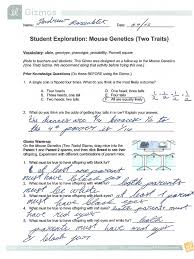 Student exploration meiosis gizmo answer key teaches us to manage the response triggered by various things. Mouse Trait Gizmo