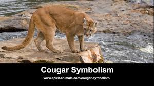 Animals of different ages have different physiological abilities, and this includes running ability. H3creja0a28mom