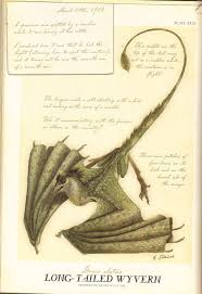 Pin By Stef Lombard On Spiderwick Chronicles Spiderwick Spiderwick Chronicles Fantasy Creatures