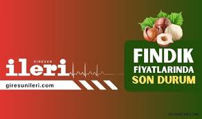 Giresun İleri Gazetesi - News update