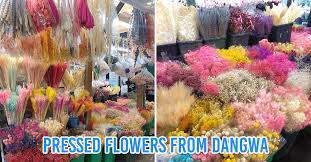 A few plants that bear fruits, flowers, and vegetables can be easily grown at home using plant seeds. Dangwa Flower Market Stall Shifts From Selling Fresh Flowers To Pressed Flowers That Last Longer Thesmartlocal Philippines Travel Lifestyle Culture Language Guide