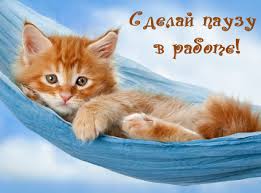 https://encrypted-tbn0.gstatic.com/images?q=tbn:ANd9GcR73HalQTWVGJbG7LGyHkJIBQ6LT_hBMHj6ME-eG_RllfazjDXK