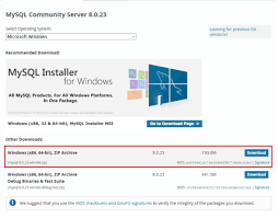 The full installer will download the server and all the recommended additional applications. Learn Mysql Install Mysql Server 8 0 19 Using A Noinstall Zip Archive