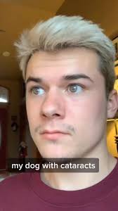 milky eyes, milky eyes