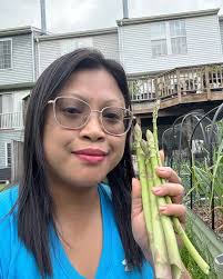 Is a 4ft × 2ft raised bed large enough to start growing asparagus?