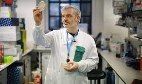 Check spelling or type a new query. Coronavirus Named What Does Covid 19 Stand For Coronavirus Name Meaning Express Co Uk