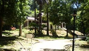 The garden of bliss which is featured as this book cover is owned and maintained by serigreen garden and landscape sdn bhd. Langkawi International Book Village