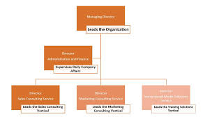 The Company Schmidt And Pearson Consulting