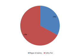 fy2013 budget 41250122 chargeback for interpreter