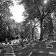 Hillside Cemetery Tour: Grave Encounters & Hidden - 614 Congress St Event Image