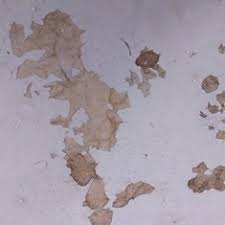 Maybe you would like to learn more about one of these? Removing Paint On Concrete Patio Contractor Talk Professional Construction And Remodeling Forum