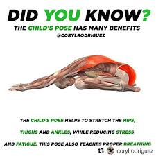 Repost Corylrodriguez Get Repost The Childs Pose Is Known To Be A Beginner Yoga Pose Child S Pose Helps To St Yoga Benefits Yoga Postures Yoga Anatomy