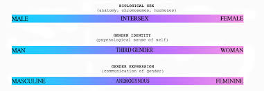 What Gender Spectrum True Liberal Nexus
