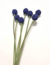 Blue Billy Button Spray Craspedia Artificial Flowers Etsy Billy Buttons Artificial Flowers Unique Floral Arrangements
