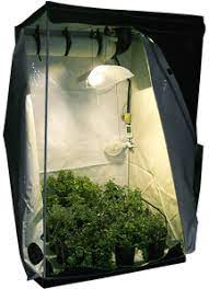 Cannabis enthält bis zu 60 verschiedene cannabinoide. Gestalltung Des Hanfanbau Indoor Growroom Irierebel