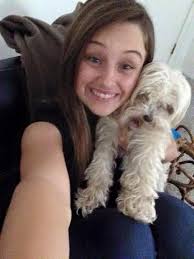 Lost small white Maltipoo with pink collar in South Bend