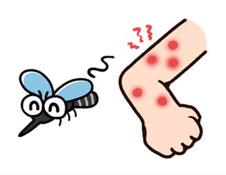 蚊刺過敏症（ぶんしかびんしょう）について | 桜新町皮フ科クリニック